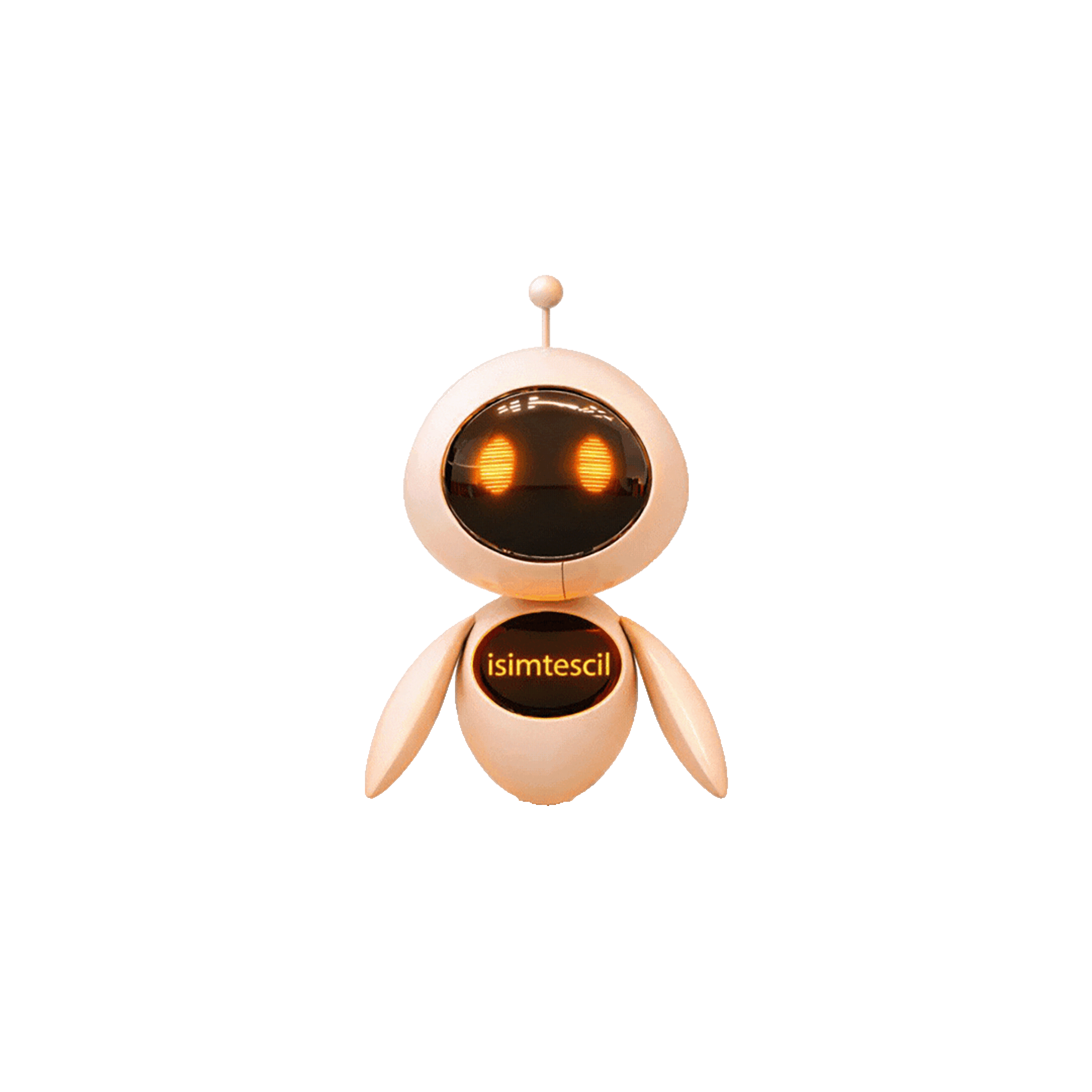 İsimtescil Robot